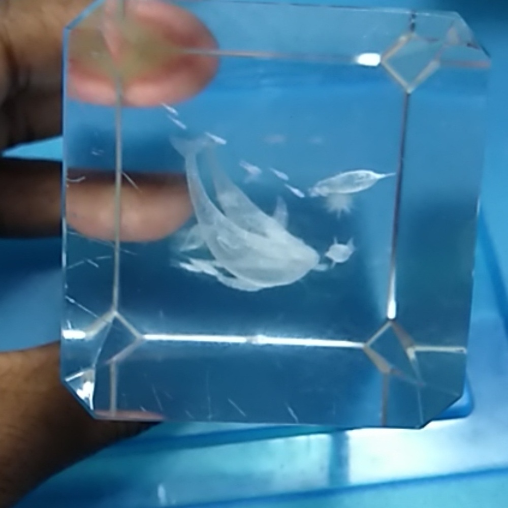 Paper weight - Picture 6 of 6